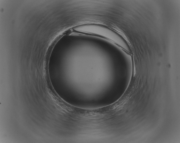 X0000073540387200608211900