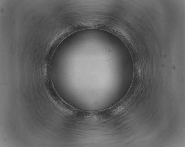 X0000073540404200608211900