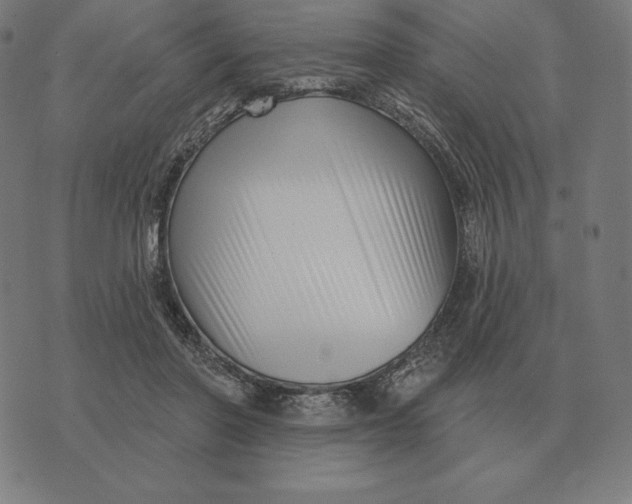 X0000073540406200608211900