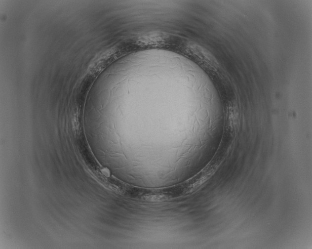 X0000073540408200608211900