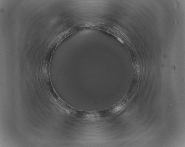 X0000073540415200608211900