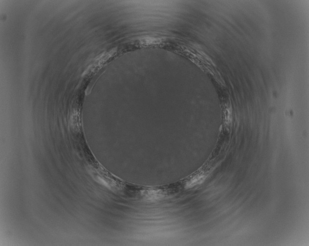 X0000073540419200608211859