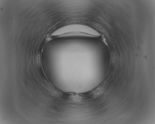 X0000073540425200608211859