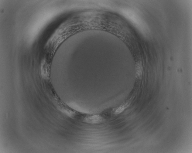 X0000073540431200608211859