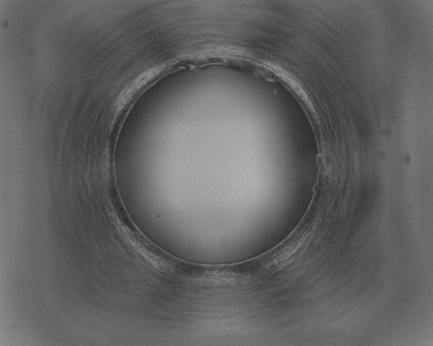 X0000073540437200608211859