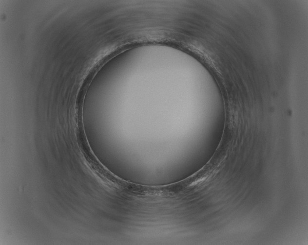 X0000073540439200608211859