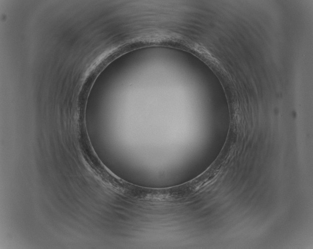 X0000073540440200608211859