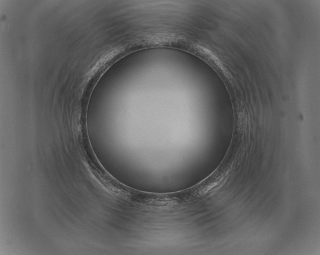 X0000073540443200608211859