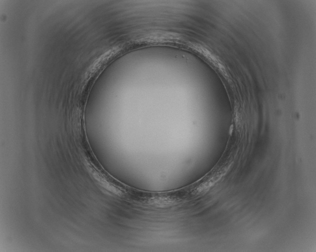 X0000073540445200608211859