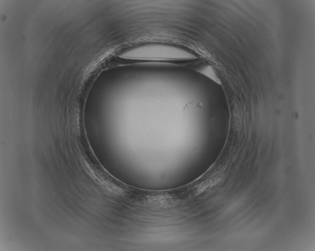 X0000073540446200608211859
