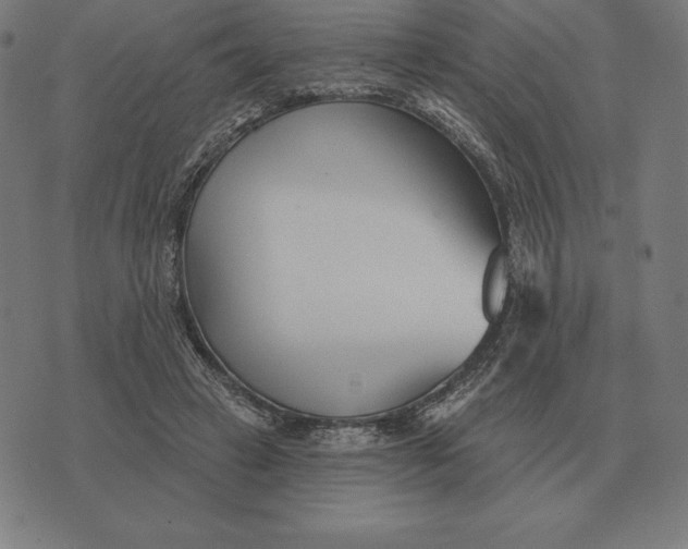 X0000073540449200608211859