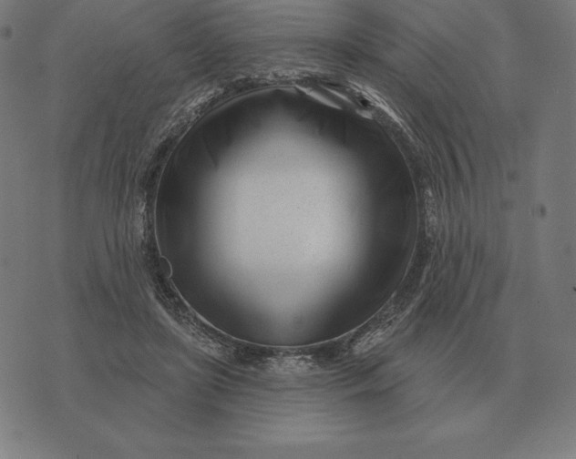 X0000073540451200608211859