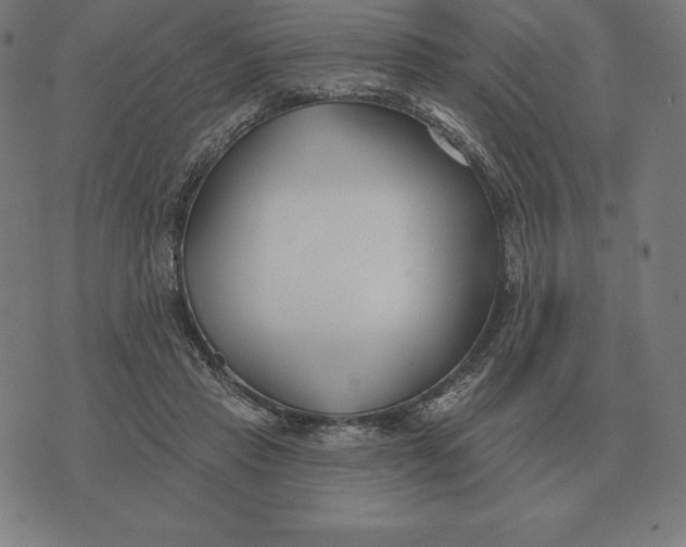 X0000073540453200608211859