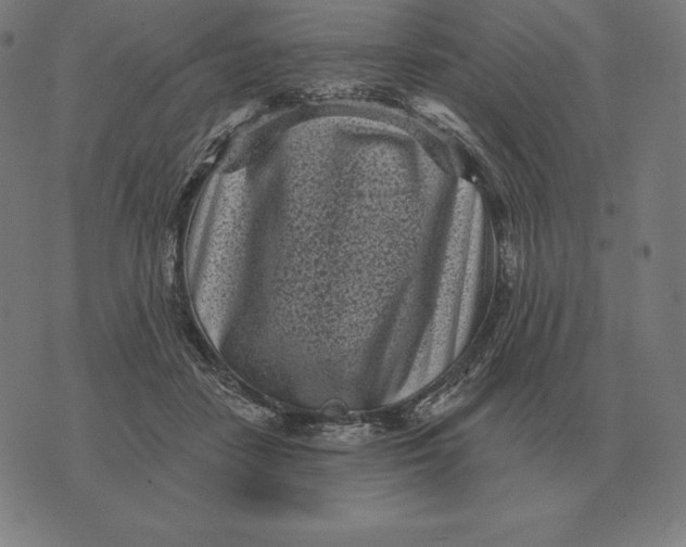 X0000073540458200608211859