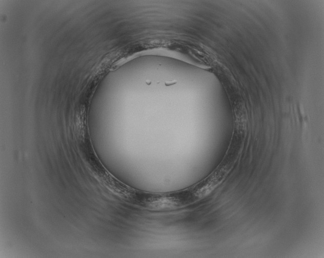 X0000073540460200608211859