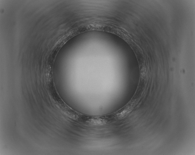 X0000073540464200608211859