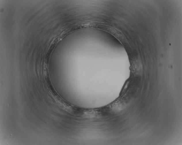 X0000073540470200608211859