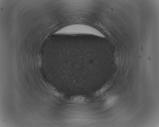X0000073540471200608211859