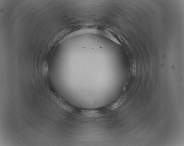 X0000073540476200608211859