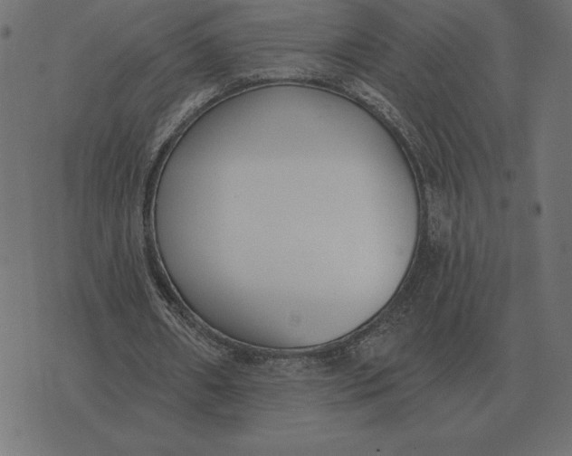 X0000073540482200608211858