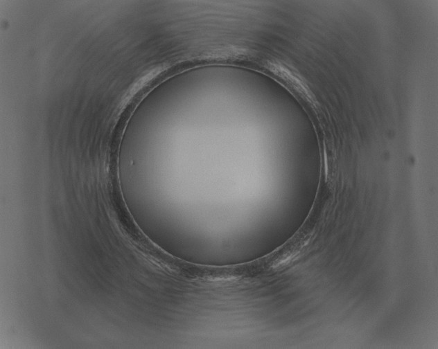 X0000073540483200608211858