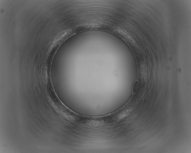 X0000073540494200608211858