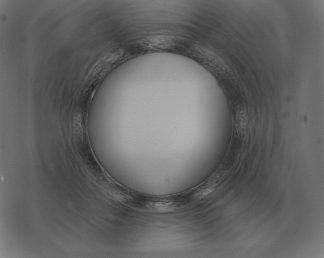 X0000073540506200608211858