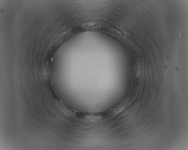 X0000073540515200608211858