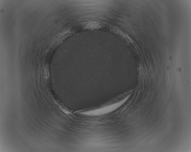 X0000073540517200608211858