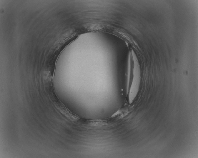 X0000073540521200608211858