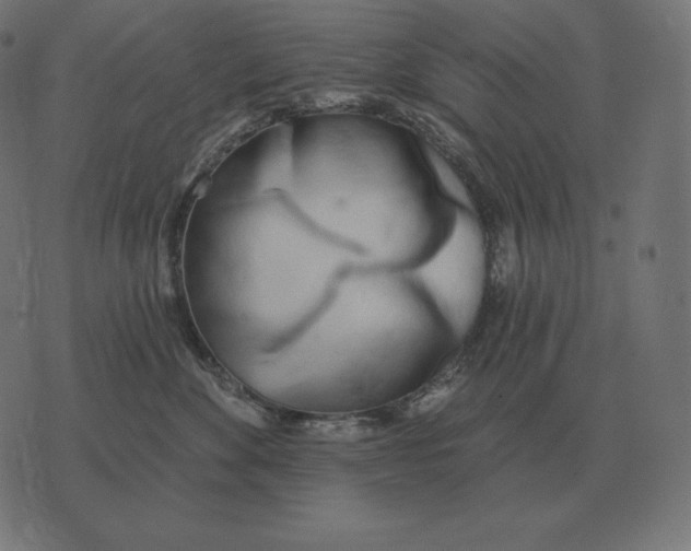 X0000073540524200608211858
