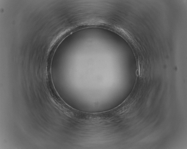 X0000073540531200608211857
