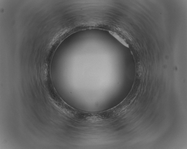 X0000073540544200608211857