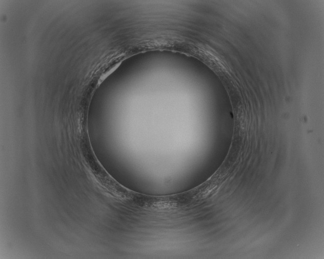 X0000073540546200608211857