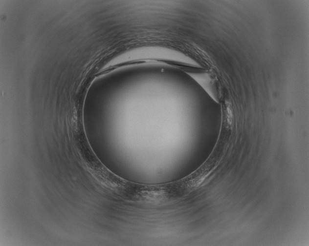 X0000073540552200608211857