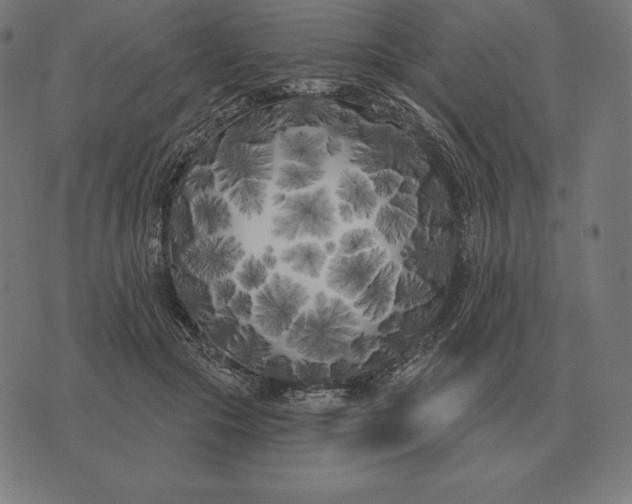 X0000073540553200608211857