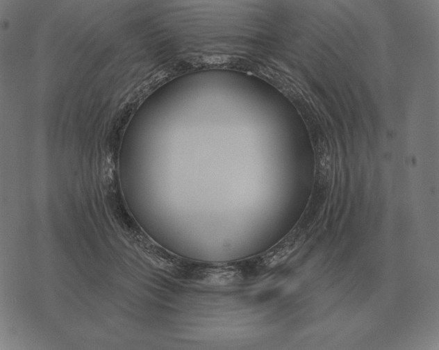 X0000073540555200608211857