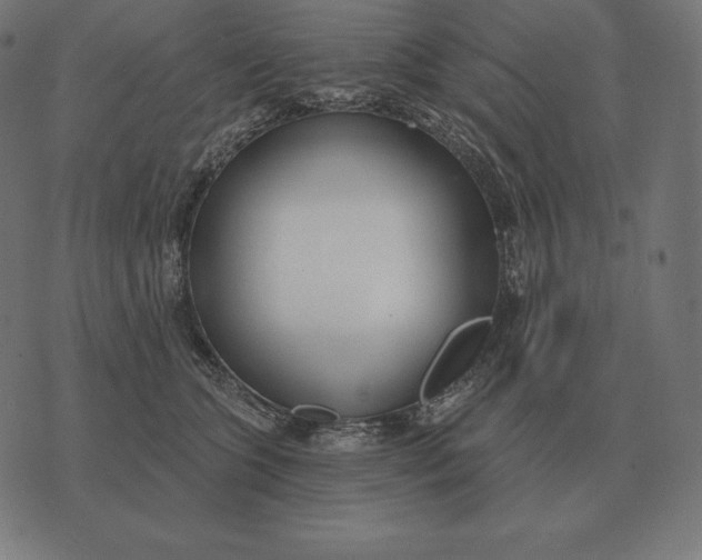 X0000073540563200608211857