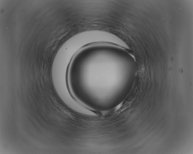 X0000073540566200608211858