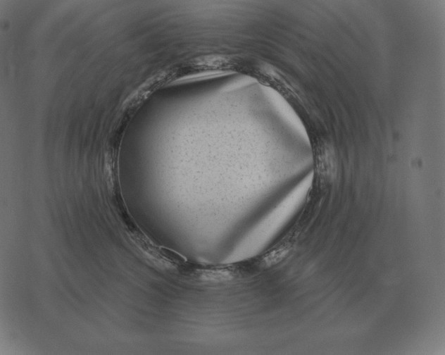 X0000073540572200608211858