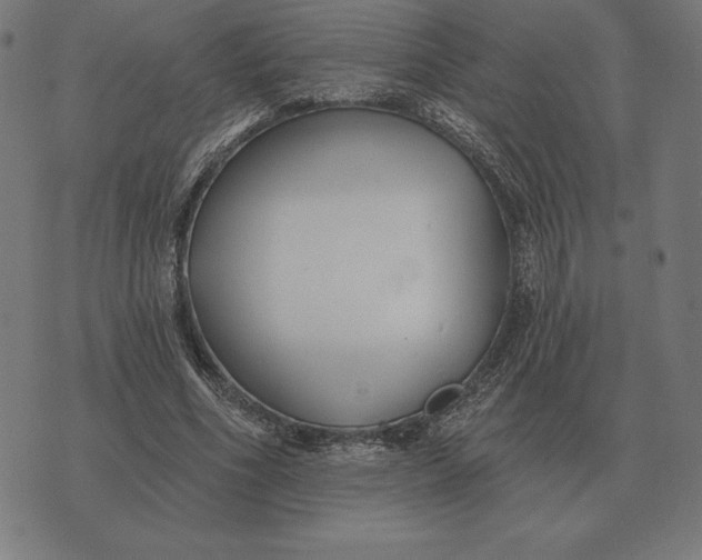 X0000073540586200608211857