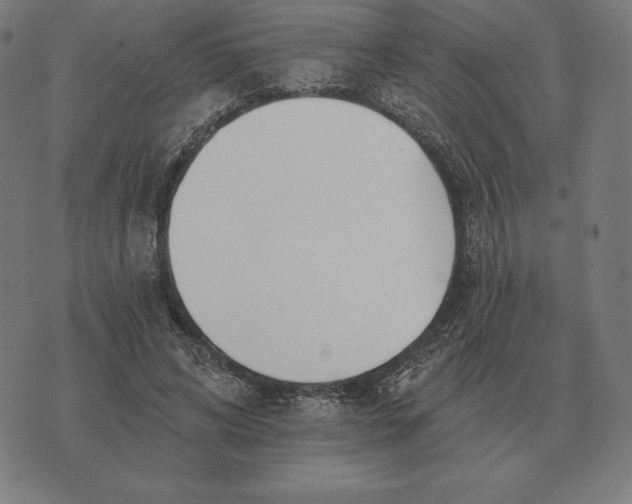 X0000073540592200608211857