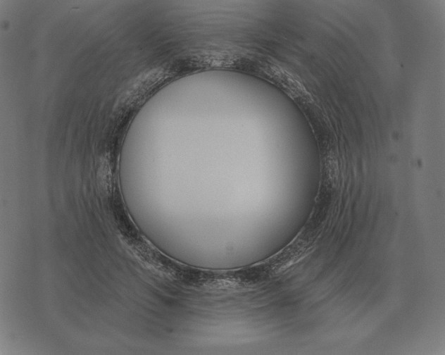 X0000073540594200608211857