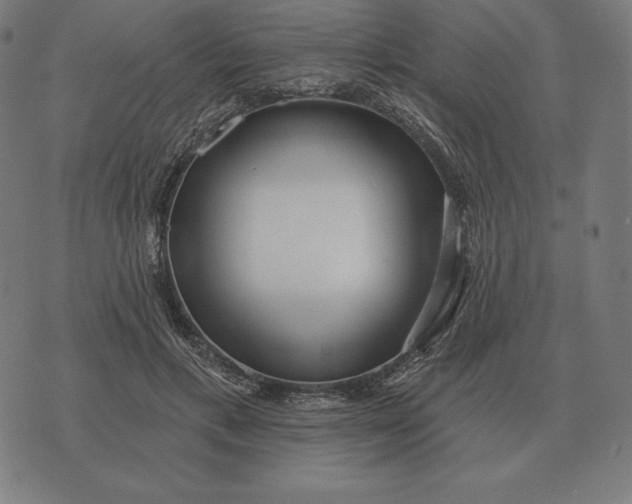 X0000073540597200608211857