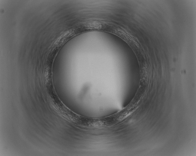 X0000073540600200608211857