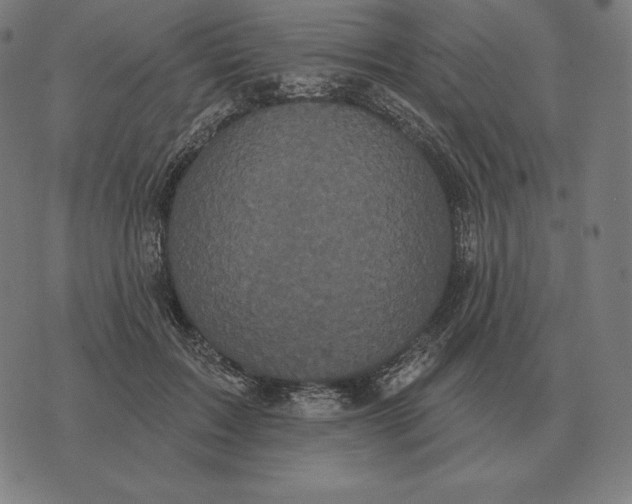 X0000073540603200608211856