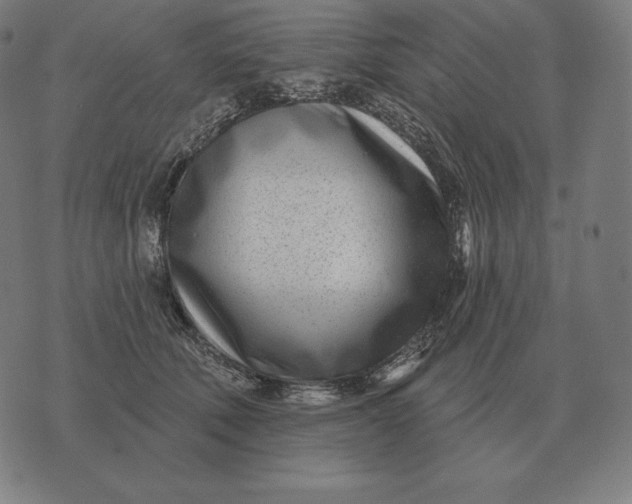 X0000073540610200608211856