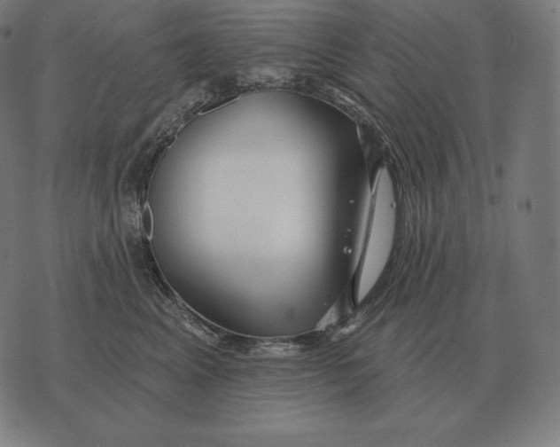 X0000073540617200608211856
