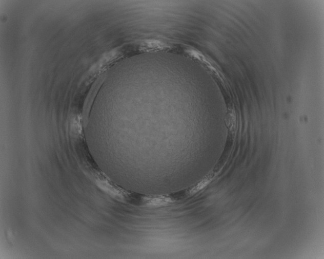 X0000073540621200608211856
