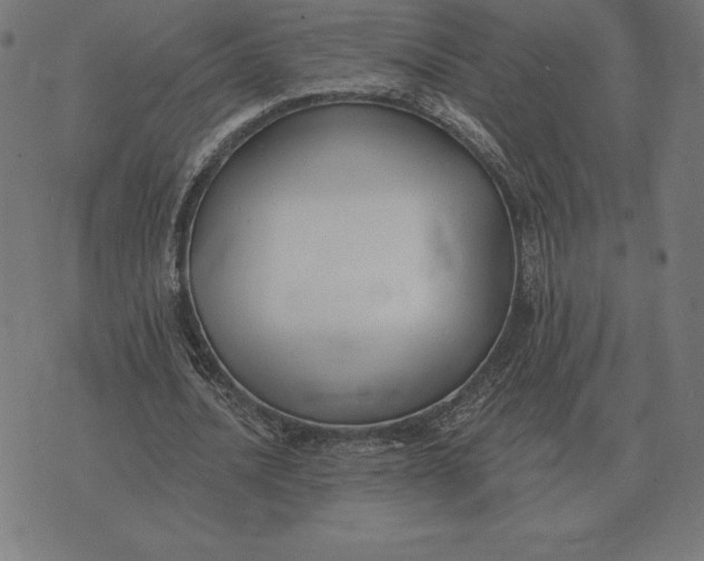 X0000073540628200608211855